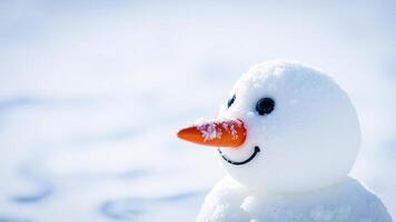 Closeup of Snowman with Carrot Nose in Snowy Field photo