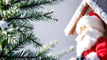 Santa Claus peeking from behind snowy pine branches photo