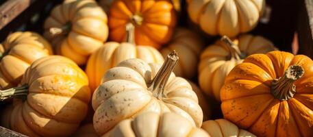 A Close Up of Pumpkins in a Wooden Crate photo