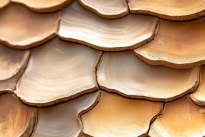 Close-up of natural cork texture showcasing warm brown and beige tones with detailed variations photo