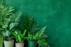 Explore the indoor urban jungle featuring diverse potted plants against a dark green wall for a cozy atmosphere photo