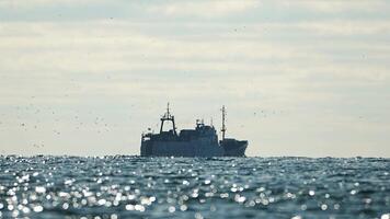 Fishing boat trawler catches fish while sailing on sea. A commercial fishing boat on the horizon in a distance sail to catch school of fish on calm sea surface in summer. Commercial catch of sea fish. video