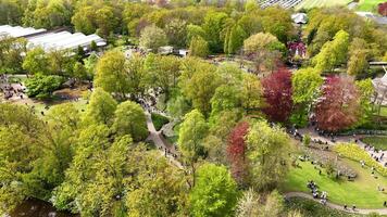 Flight over Keukenhof garden, Netherlands with a view of a working mill video