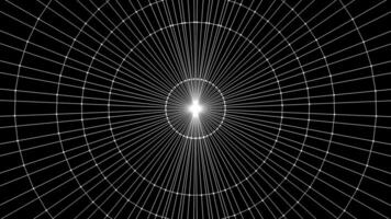 Gray lines in abstraction. Animation. A black background on which various thin lines move, making up various drawings on the footage. video