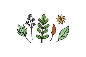 Colorful Flower Drawing in Different Shades for Creative Design Projects vector