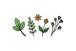 Vibrant Flower Illustration with Colorful Petals for Your Designs vector