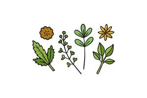 Beautiful Hand Drawn Flowers in Bright Colors for Artistic Creations vector