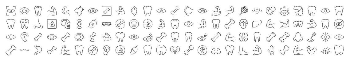 Bundles, Eye, Tooth, Muscle, Internal Organs Minimalistic Images Drawn with Thin Line. Collection of Various Design Elements that Can Be Used for Apps, Articles, Web Site vector