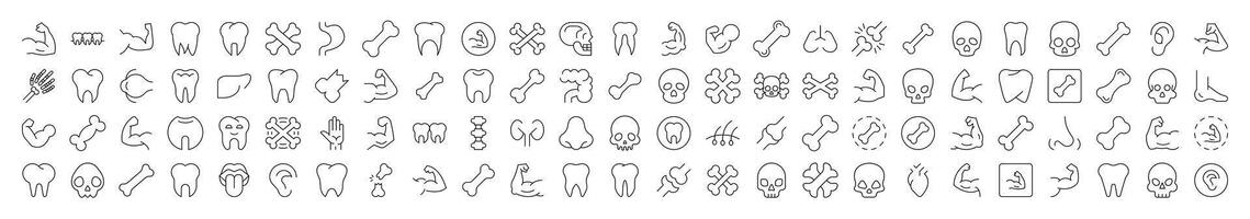 Internal Organs, Teeth and Bones Pack of Thin Icons. Editable Stroke. Suitable for Web Sites, Books, Cards, Apps vector