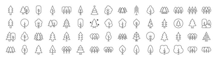 Tree and Forest Line Icon Bundle. Modern Collection for Design, Web Sites, Apps, Cards. Contains Linear Images of Deciduous and Coniferous Trees vector