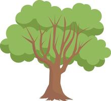 Tree flat icon. Cartoon tree illustration. Tree with exuberant green foliage and trunk vector
