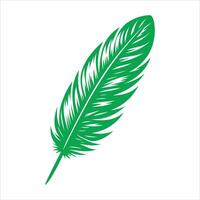 Bird Feathers With Ethnic Boho Ornamental Pattern Illustration On White Background vector