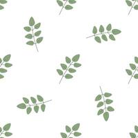 Plant seamless pattern with a hand-drawn twig with leaves. vector