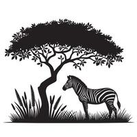 silhouette of zebra under tree in field of savannah vector