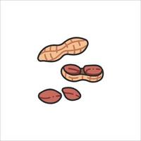 A peanut is shown in a line drawing vector