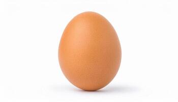 Front view of single fresh brown chicken egg is isolated on white background with clipping pat photo