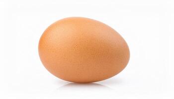 Front view of single fresh brown chicken egg is isolated on white background with clipping pat photo