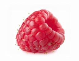 Two juicy perfect raspberries lie on a leaf, isolated on a white background. photo