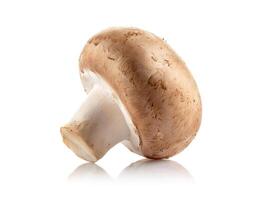 One whole and halved fresh brown champignon mushroom isolated on white background photo