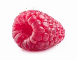 Two juicy perfect raspberries lie on a leaf, isolated on a white background. photo