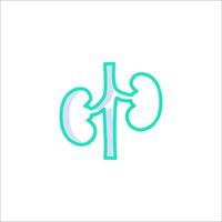 The kidney icon is shown on a white background vector