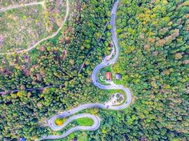 Road through forest in autumn. Aerial Drone Shot photo