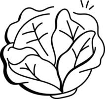 A doodle icon of fresh cabbage vector