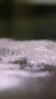 Sprinkling flour on table, super slow motion, sprinkle flour on the table video