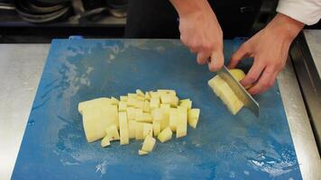 Chef Helper is Cutting Potatoes for Baking in Italian Restaurant Kitchen video