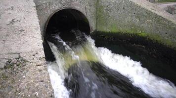 Dirty water flows from the pipe into a natural pond. Environmental pollution. Sewage, treatment facilities, dirty foam, bacteria. video