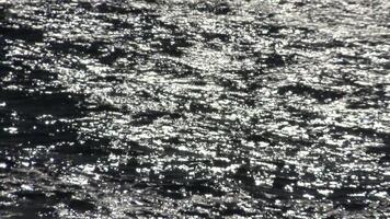 Sun glares reflected from water surface. Water trembling and reflection. The refraction of the rays of the sun. Abstract background footage. video