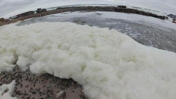 Sea foam during a storm in the Black Sea, water pollution, eutrophication video