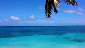 Hammock Between Palm Trees on the Beach with Gentle Breeze and Turquoise Water video