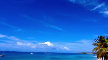 Relaxing Hammock on the Beach Swaying with a Breeze and Turquoise Water View video