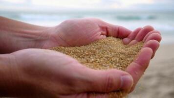Close Up of Sand Slipping Through Hands with Ocean Waves and Gentle Breeze video