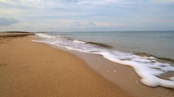 Close Up of Waves Rolling onto the Shore with Bubbles and Foam for a Calming Beach View video