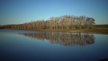 Herd of sheep go along a beautiful lake, in which trees are reflected, Bolgradsky district, Ukraine video