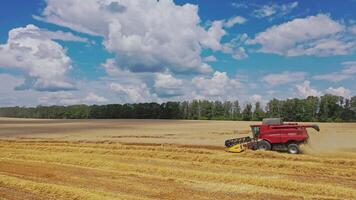 Side view of combine harvester at work outdoors. Seasonal works of gathering harvest in farmland. Agricultural farming against natural summer background. video
