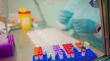 Test tubes on a rack on the laboratory table. Medical assistant in protective uniform and gloves working with vials of samples in scientific clinic. video