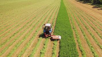 aéreo Visão do trator dentro a campo dentro verão. especial tecnologia para roçada verde Relva dentro processo em a campo fundo dentro ensolarado dia. video