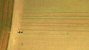 Top view of the field and tractor working on it. Agricultural machine on the natural rural landscape in summer. Aerial view. video