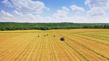 Beautiful scenery of the field near green forest in summer. Agricultural tractor on the field at seasonal works. Camera moves left. Drone view. video