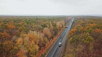 Road works on one side of highway in autumn. Aerial view of asphalt road with cars with colorful trees from both sides of a road. video