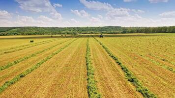 Beautiful natural environment on the field in summer. Drone view over the field with a tractor working on a grassland during sunny day. video