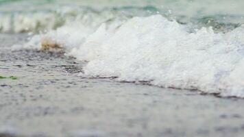 Flowing sea water on the beach with white foam in the evening. The edge of the ocean with foam waves hitting into the shoreline background. Close-up. video