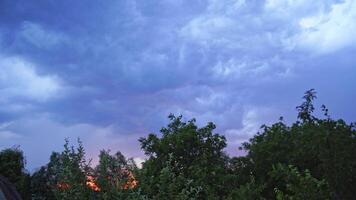 Wind shakes green trees before the rain outdoors. Lightning sparkles in the sky with many clouds under the tops of trees in the evening. video