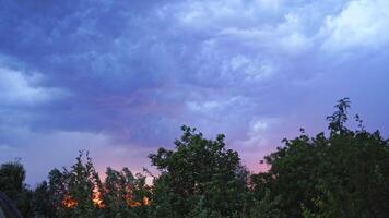 Sparkles of lightning on the cloudy sky. Strong wind moves the trees under the dark blue sky at sunset in summer. Lightning before the rain outdoors. video
