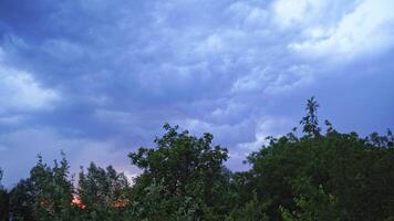 Green trees under the the cloudy sky. Top of trees are moving by the strong wind on the background of blue sky at sunset in the evening. video