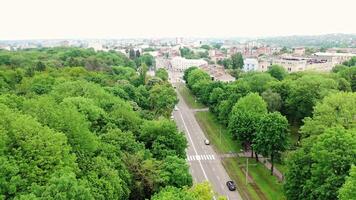 Aerial view of the wide road with green trees from both sides. Flying over top of trees in the park on the city background in summer. Camera moves back. video
