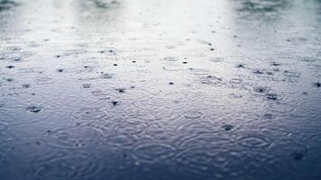 Rain drops fall on water surface of pond, lake or river forming a uniform background. video